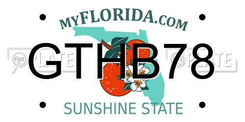 GTHB78 Florida License Plate