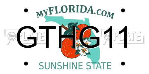 GTHG11 Florida License Plate