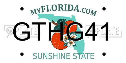 GTHG41 Florida License Plate
