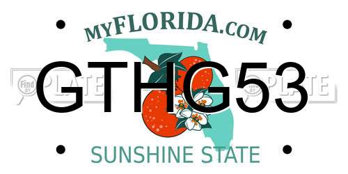 GTHG53 Florida License Plate