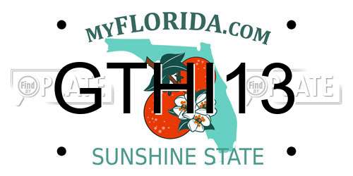 GTHI13 Florida License Plate