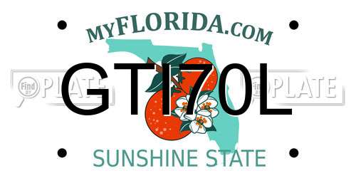 GTI70L Florida License Plate