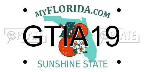 GTIA19 Florida License Plate