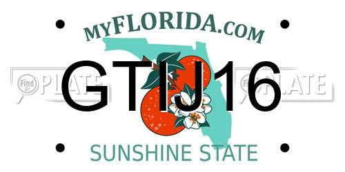 GTIJ16 Florida License Plate