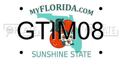 GTIM08 Florida License Plate