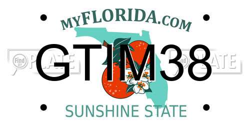 GTIM38 Florida License Plate