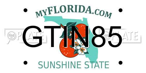 GTIN85 Florida License Plate