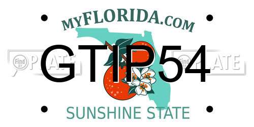 GTIP54 Florida License Plate