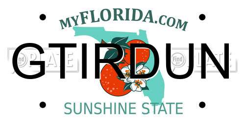 GTIRDUN Florida License Plate