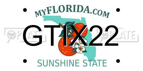GTIX22 Florida License Plate