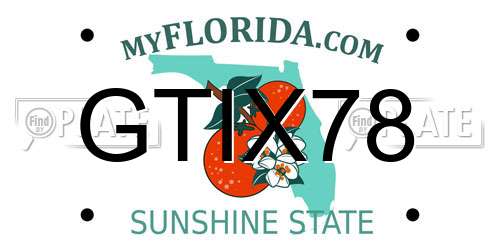 GTIX78 Florida License Plate