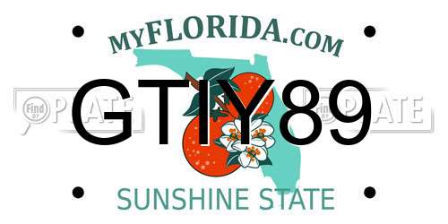 GTIY89 Florida License Plate