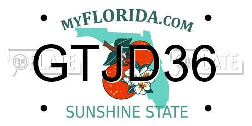 GTJD36 Florida License Plate