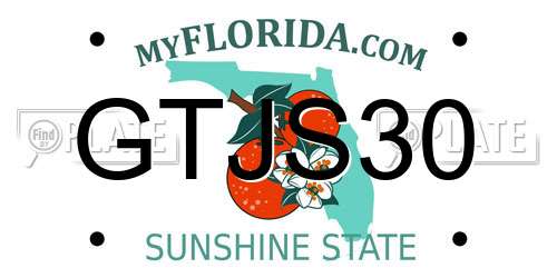 GTJS30 Florida License Plate