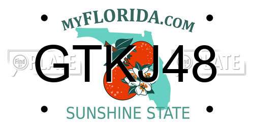 GTKJ48 Florida License Plate