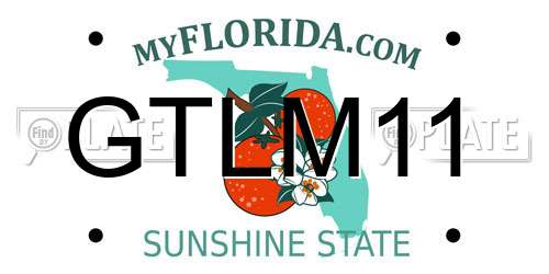 GTLM11 Florida License Plate