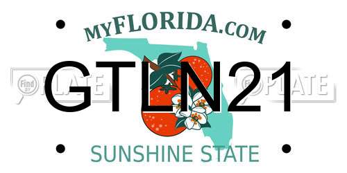GTLN21 Florida License Plate