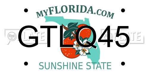 GTLQ45 Florida License Plate