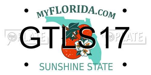 GTLS17 Florida License Plate