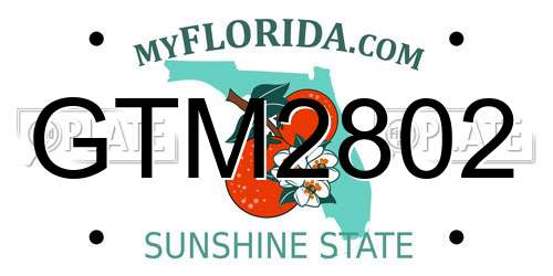GTM2802 Florida License Plate