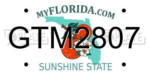 GTM2807 Florida License Plate