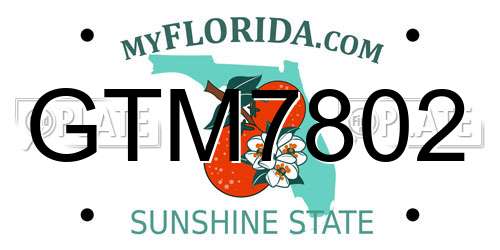 GTM7802 Florida License Plate