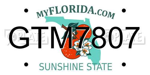 GTM7807 Florida License Plate