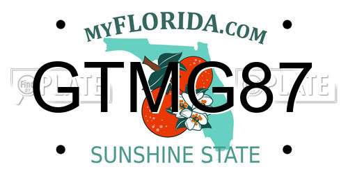 GTMG87 Florida License Plate