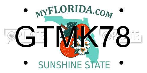 GTMK78 Florida License Plate