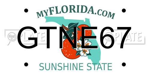 GTNE67 Florida License Plate