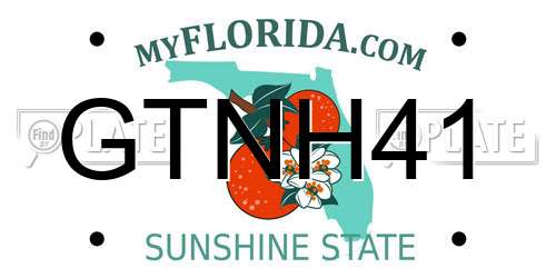 GTNH41 Florida License Plate