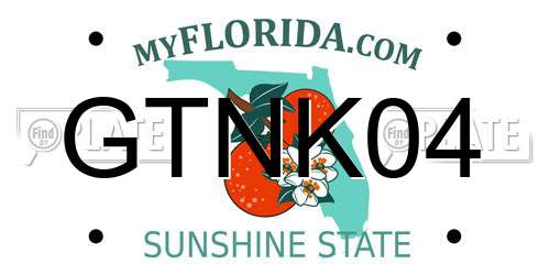 GTNK04 Florida License Plate