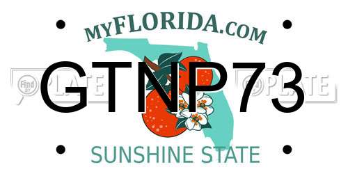 GTNP73 Florida License Plate