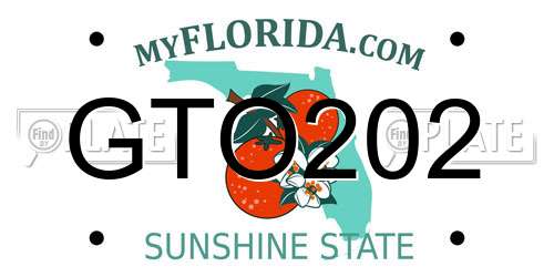 GTO202 Florida License Plate