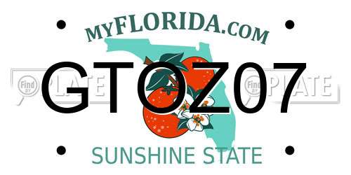 GTOZ07 Florida License Plate