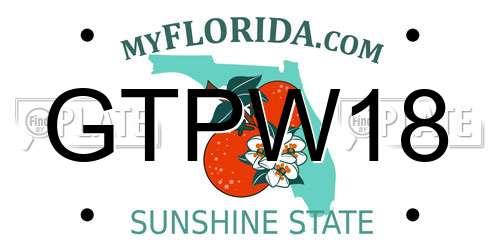 GTPW18 Florida License Plate