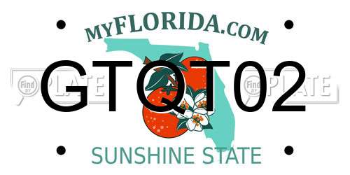 GTQT02 Florida License Plate