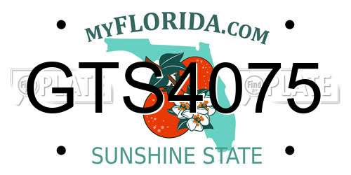 GTS4075 Florida License Plate