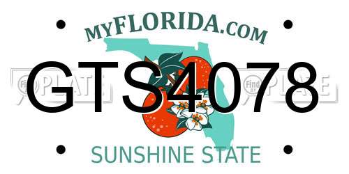 GTS4078 Florida License Plate