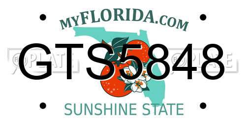 GTS5848 Florida License Plate