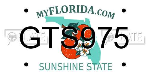 GTS975 Florida License Plate