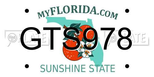 GTS978 Florida License Plate