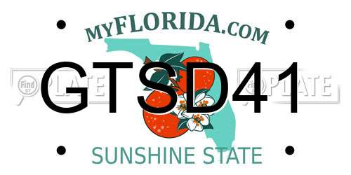 GTSD41 Florida License Plate