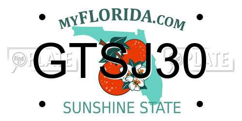 GTSJ30 Florida License Plate