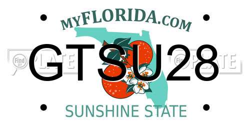 GTSU28 Florida License Plate