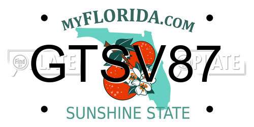 GTSV87 Florida License Plate