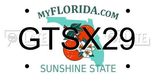 GTSX29 Florida License Plate
