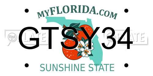 GTSY34 Florida License Plate
