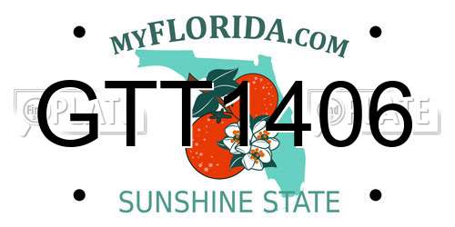 GTT1406 Florida License Plate
