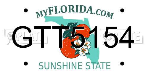 GTT5154 Florida License Plate
